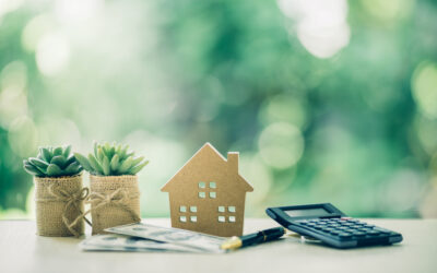 Tracing Hidden Assets: How Forensic Accountants Follow the Money